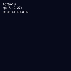 #070A1B - Blue Charcoal Color Image