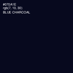 #070A1E - Blue Charcoal Color Image