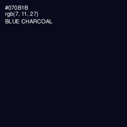 #070B1B - Blue Charcoal Color Image