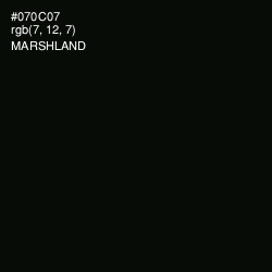 #070C07 - Marshland Color Image