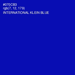 #070CB3 - International Klein Blue Color Image