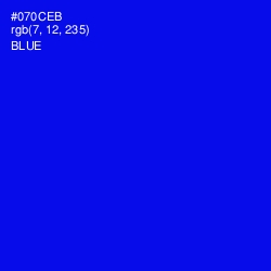 #070CEB - Blue Color Image