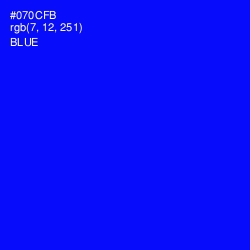 #070CFB - Blue Color Image