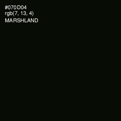 #070D04 - Marshland Color Image