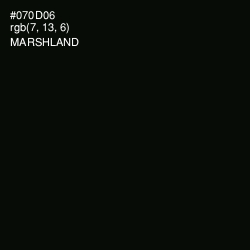 #070D06 - Marshland Color Image