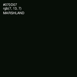 #070D07 - Marshland Color Image