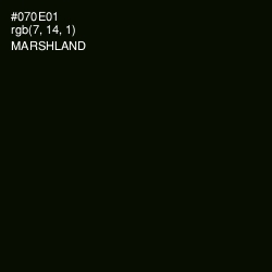 #070E01 - Marshland Color Image