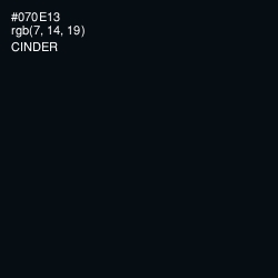 #070E13 - Cinder Color Image