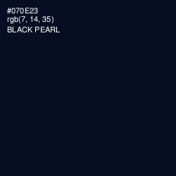 #070E23 - Black Pearl Color Image