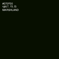 #070F00 - Marshland Color Image