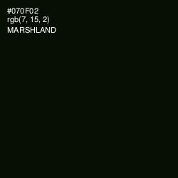 #070F02 - Marshland Color Image