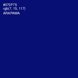 #070F75 - Arapawa Color Image