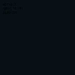 #071012 - Bunker Color Image