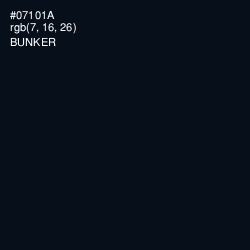 #07101A - Bunker Color Image