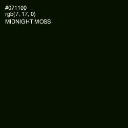 #071100 - Midnight Moss Color Image