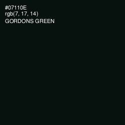 #07110E - Gordons Green Color Image