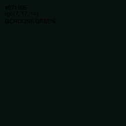 #07110E - Gordons Green Color Image