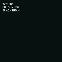 #071110 - Black Bean Color Image