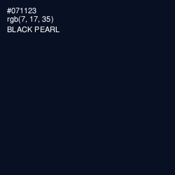 #071123 - Black Pearl Color Image