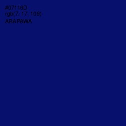 #07116D - Arapawa Color Image