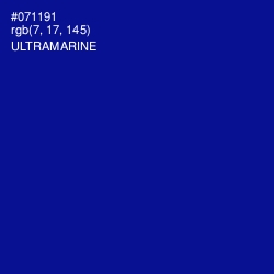 #071191 - Ultramarine Color Image