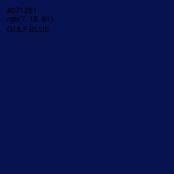 #071251 - Gulf Blue Color Image