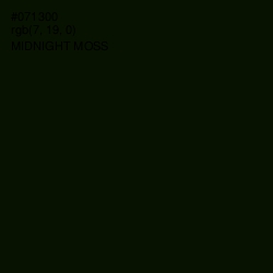 #071300 - Midnight Moss Color Image