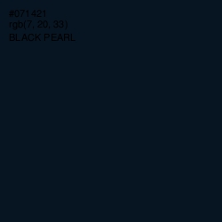 #071421 - Black Pearl Color Image