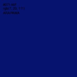 #07146F - Arapawa Color Image