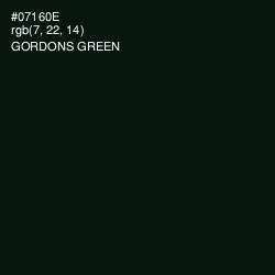 #07160E - Gordons Green Color Image