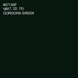 #07160F - Gordons Green Color Image