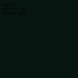 #071611 - Black Bean Color Image