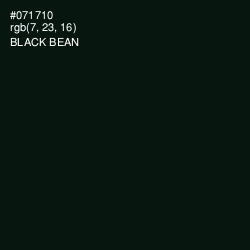 #071710 - Black Bean Color Image