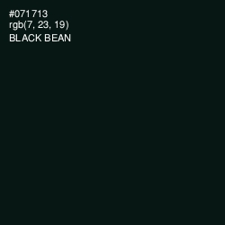 #071713 - Black Bean Color Image