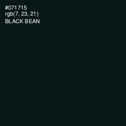 #071715 - Black Bean Color Image