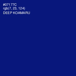 #07177C - Deep Koamaru Color Image