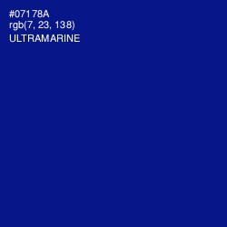 #07178A - Ultramarine Color Image