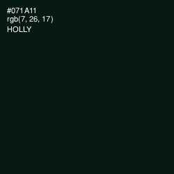 #071A11 - Holly Color Image