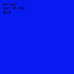 #071AEF - Blue Color Image