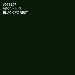 #071B07 - Black Forest Color Image