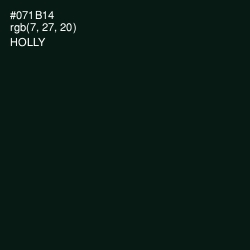 #071B14 - Holly Color Image