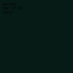 #071B16 - Holly Color Image