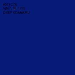 #071C7A - Deep Koamaru Color Image