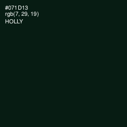 #071D13 - Holly Color Image