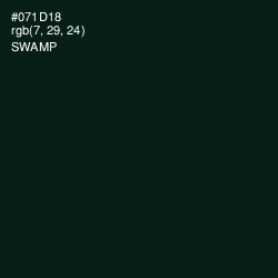 #071D18 - Swamp Color Image