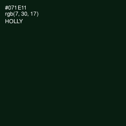 #071E11 - Holly Color Image