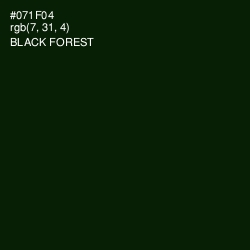 #071F04 - Black Forest Color Image