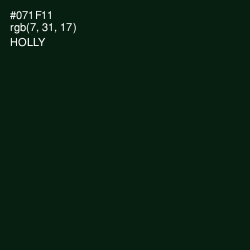 #071F11 - Holly Color Image