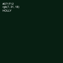 #071F12 - Holly Color Image