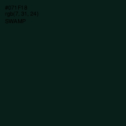 #071F18 - Swamp Color Image